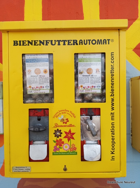 Bienenautomat 4